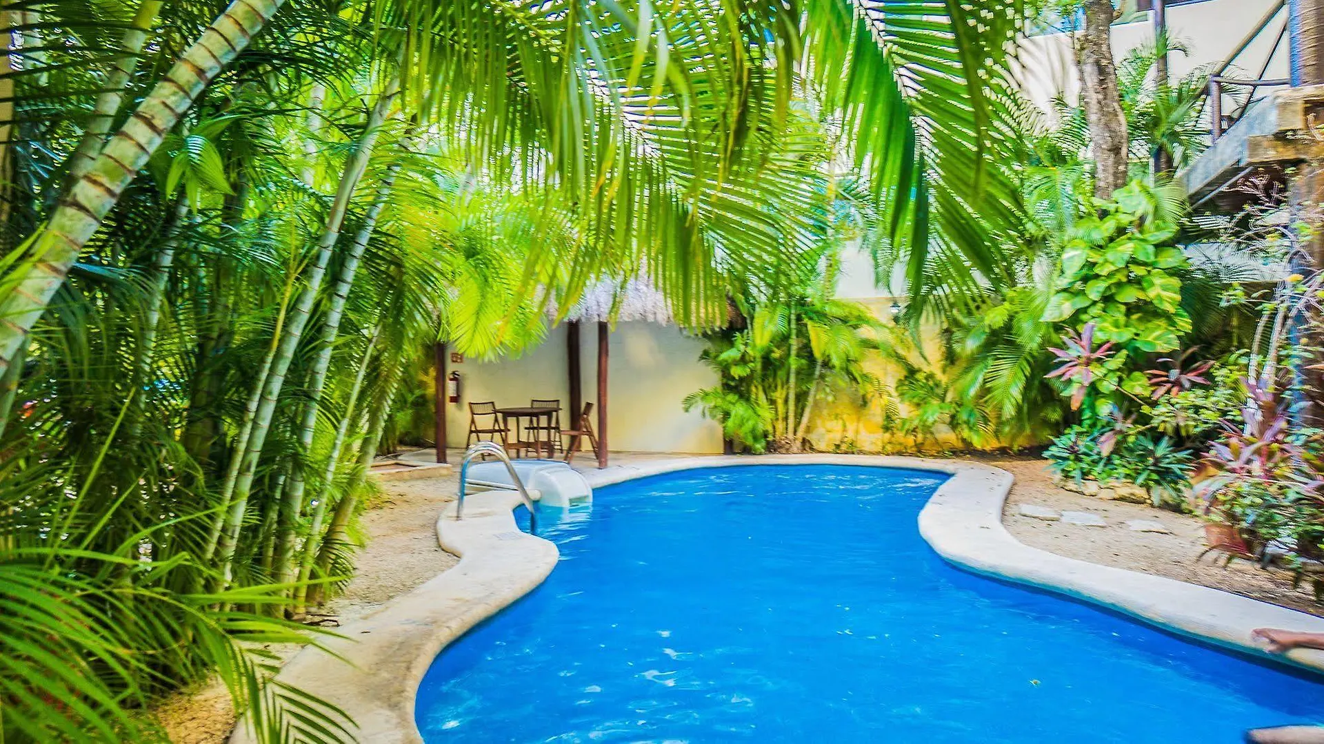 Magic Paradise By Bvr Daire Playa del Carmen